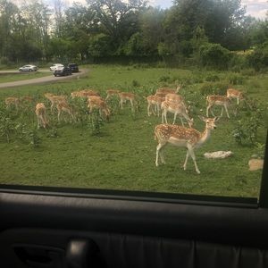 Meet your Posher, Donna